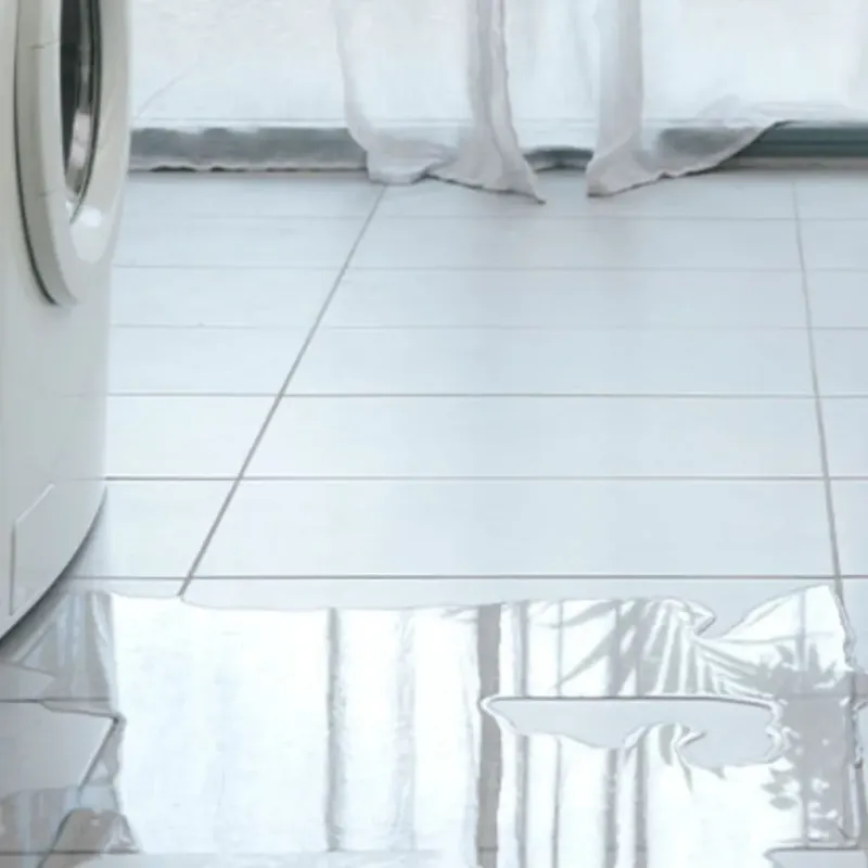 Appliance Leak Cleanup in Jacksonville, IL