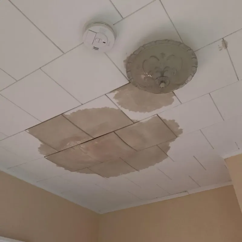 Ceiling Water Damage Repair in Jacksonville, IL