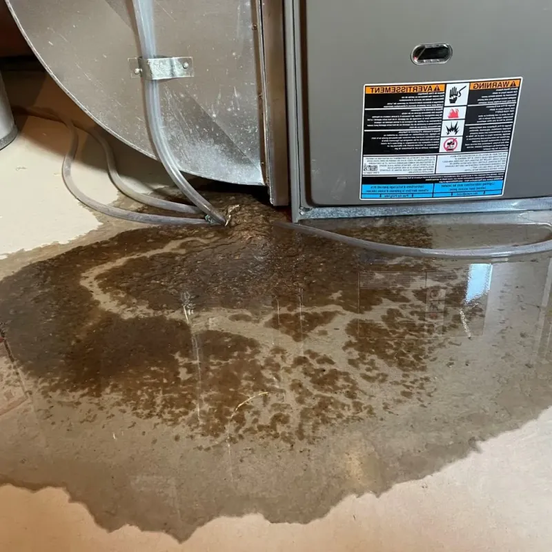 Pipe Burst and Leak Restoration in Jacksonville, IL