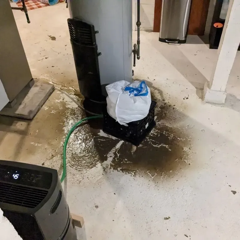 Sewage Backup Cleanup Service in Jacksonville, IL